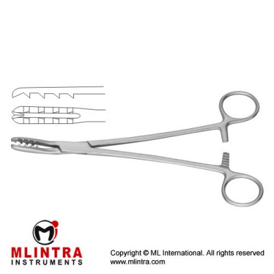 Bircher-Ganske Catrilage Seizing Forcep Curved Sidewards Stainless Steel, 20 cm - 8" Bircher-Ganske Catrilage Seizing Forcep Curved Sidewards Stainless Steel, 20 cm - 8"